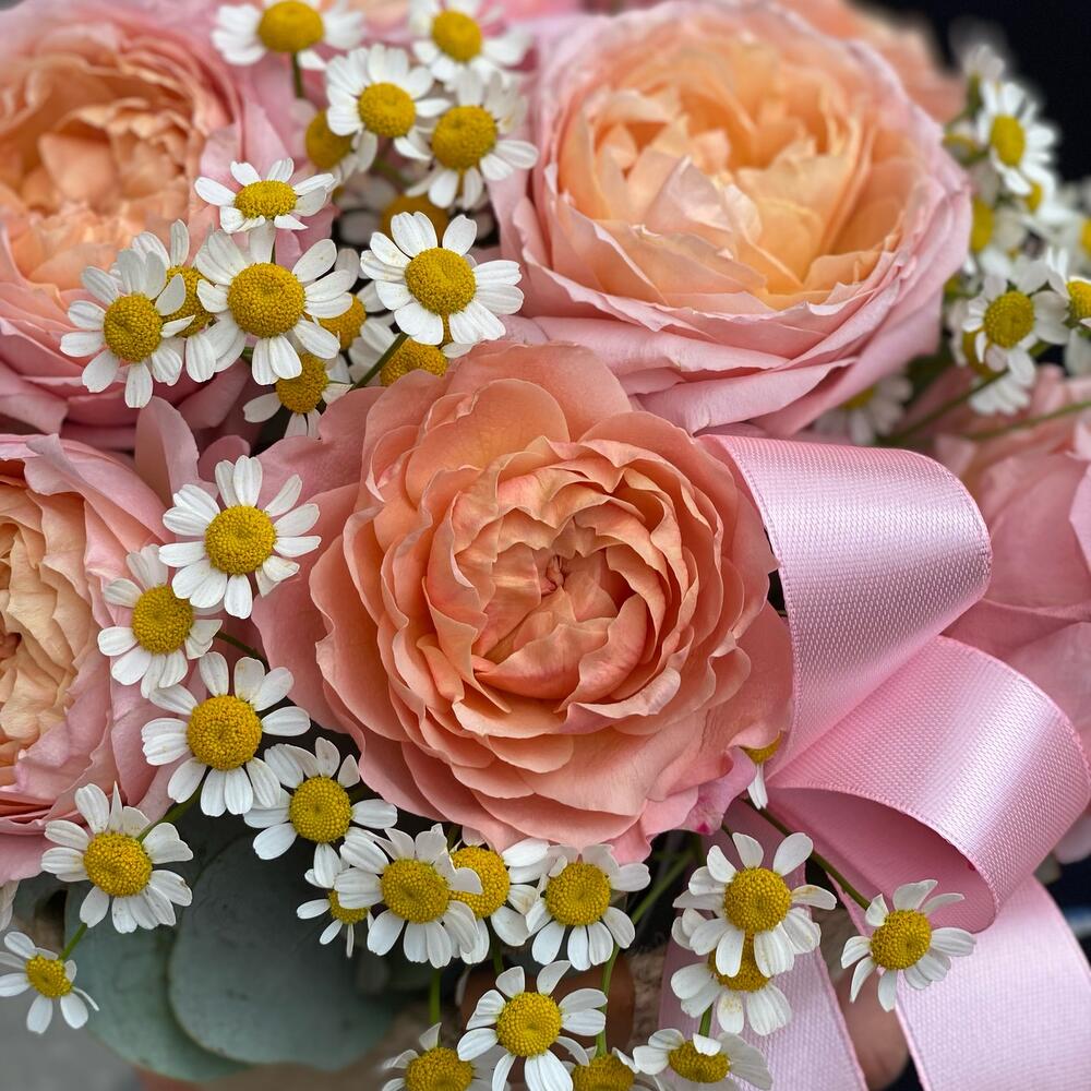 Пионовидная Роза и ромашка Пионовидная Роза и ромашка